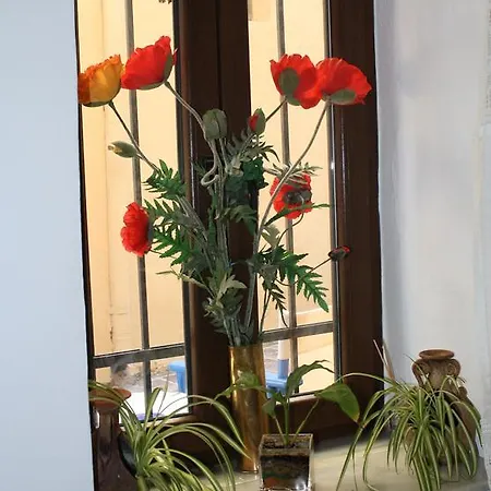 Guest house Anemones Chania (Crete)