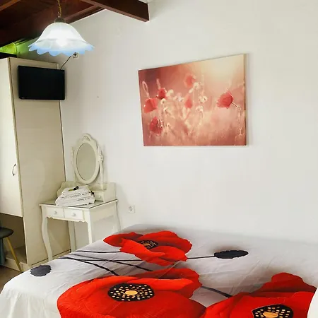 Anemones 4*