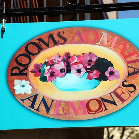 海葵之屋旅馆 干尼亞