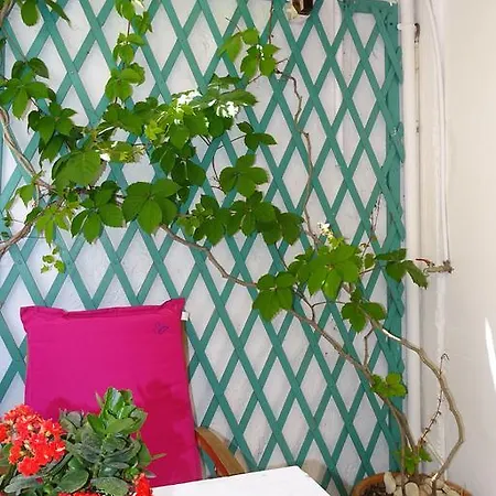 Anemones Guest house *