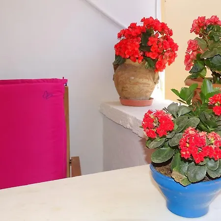 海葵之屋旅馆 干尼亞