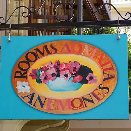 Anemones Pensión 4*
