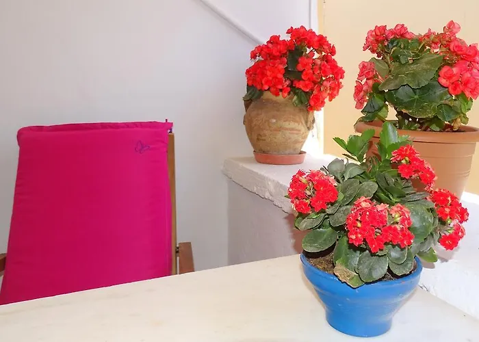 Anemones Hriszí Aktí Haniá