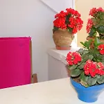 Anemones 하니아