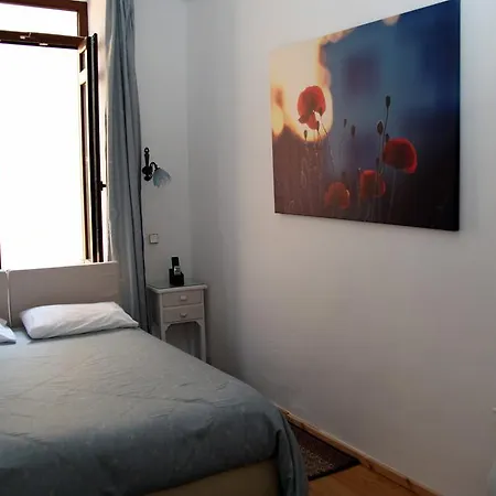 Anemones 4*