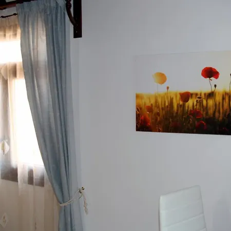 Anemones Chania (Crete)