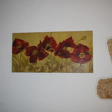 Anemones 4*