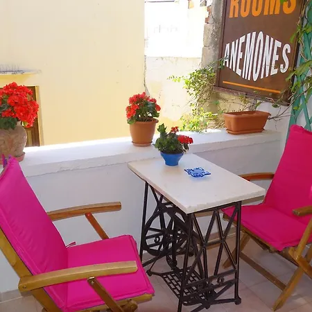 Maison d'hôtes Anemones La Canée