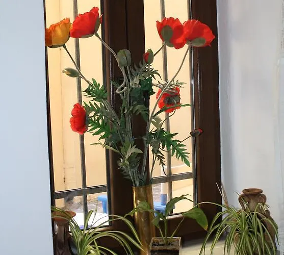 Maison d'hôtes Anemones La Canée