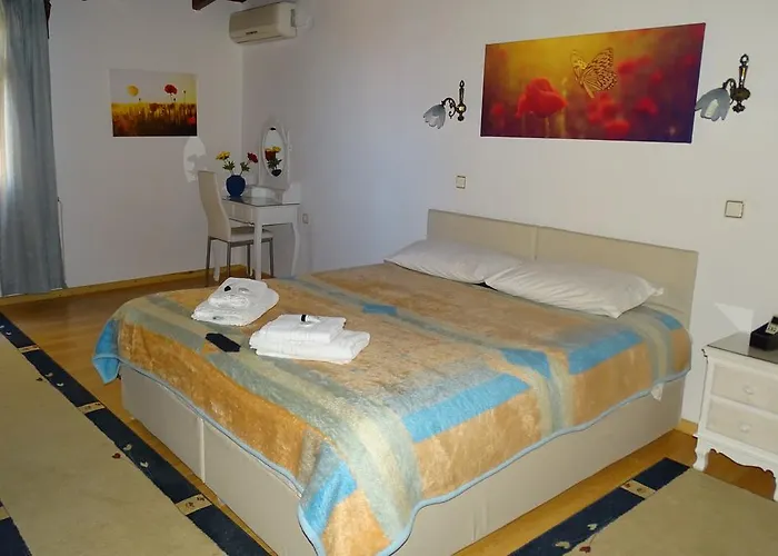 海葵之屋旅馆 招待所