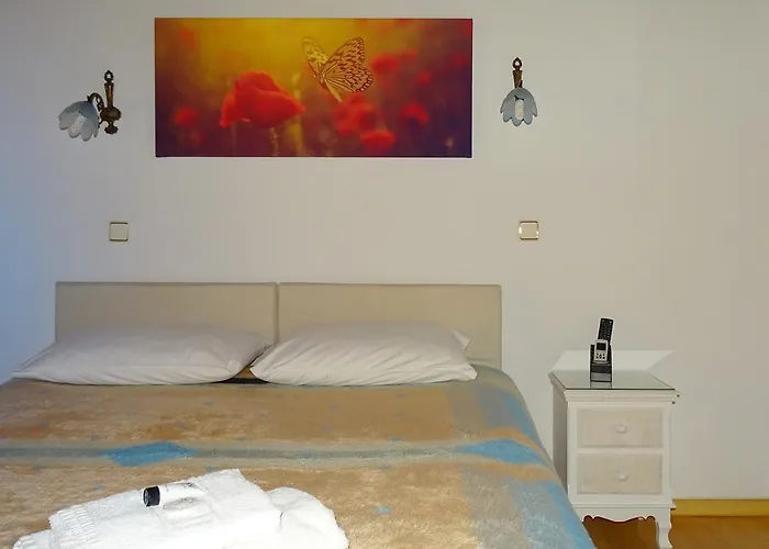 招待所 海葵之屋旅馆 干尼亞